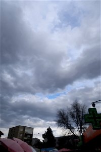 IMG_6764