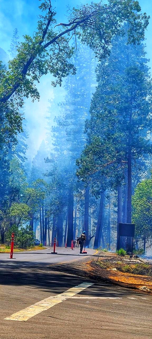 Yosemite Valley Prescribed Burn