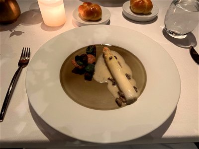 White Asparagus and Morels photo