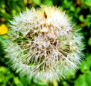 IMG_20220527_110217