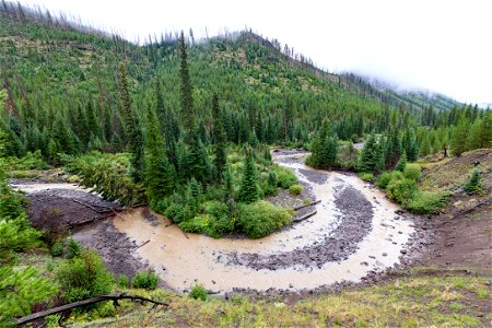 Views along the Upper Miller Creek Trail