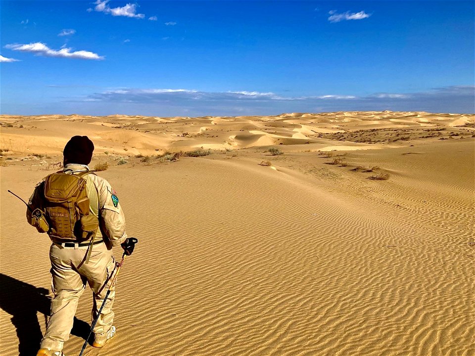 Surveys in the dunes