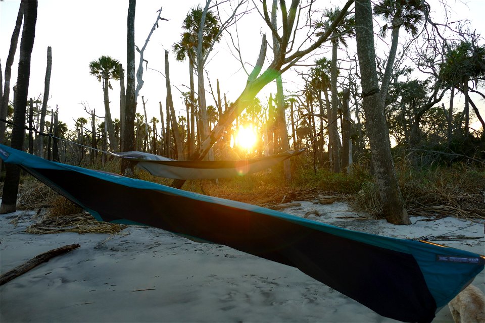 sunset hammocks-P1950095