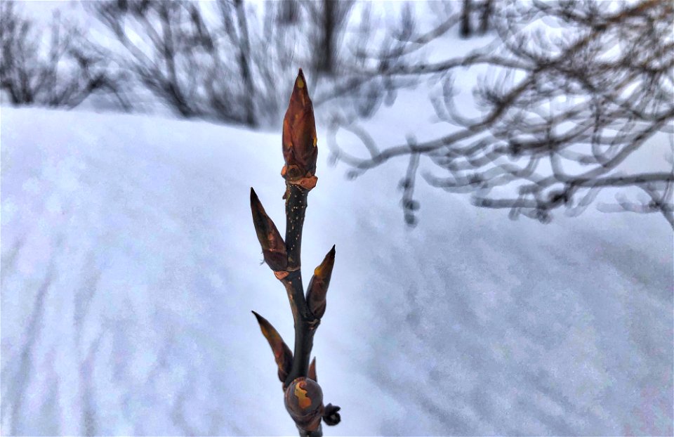 Someone Has Spring in Mind