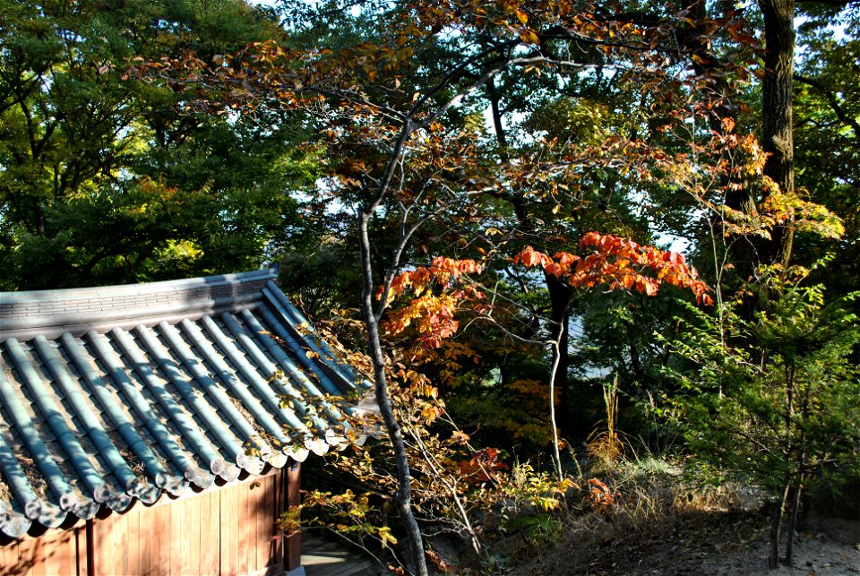 Deoksungsan Mountain