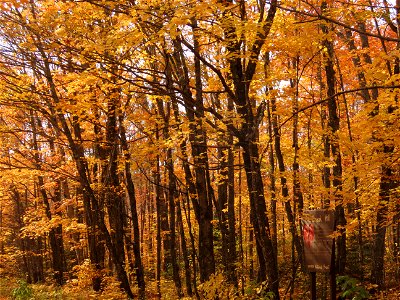 20221011-FS-Superior-SAR-016