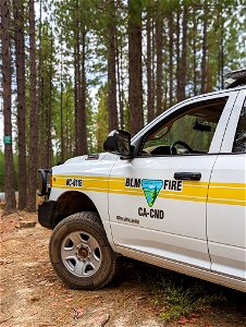 BLM Vehicle in the 'Inimim Forest photo