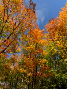 20210915-FS-Superior-SAR-009