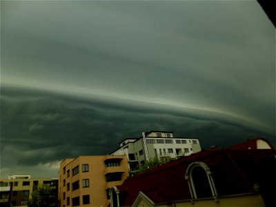 nori-sediu2015_0507_075238(1)