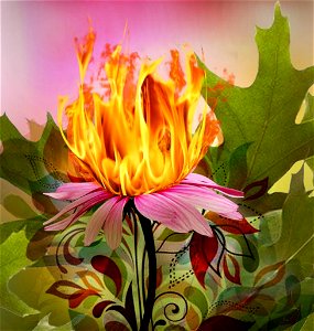 Burning flower photo