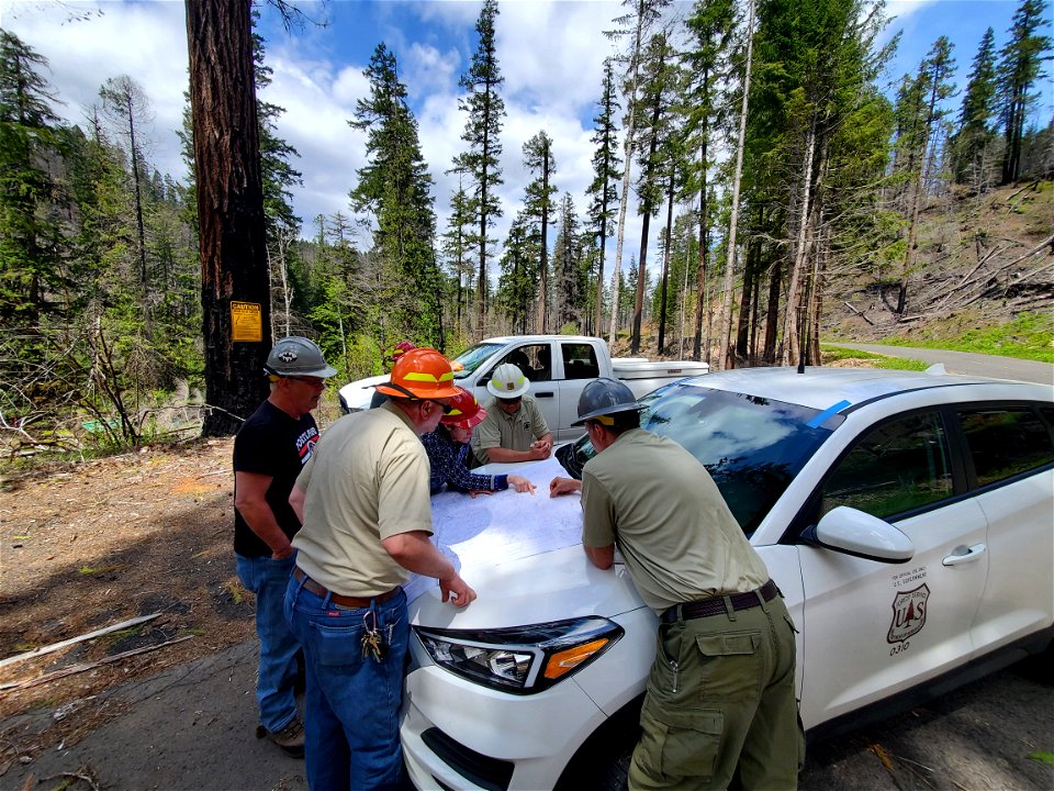 Forest staff reviewing district map in Riverside Fire area on Mt. Hood National Forest