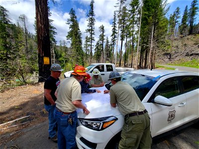 Forest staff reviewing district map in Riverside Fire area on Mt. Hood National Forest photo