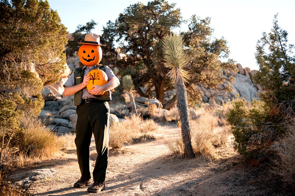 Ranger Jack O'Lantern photo