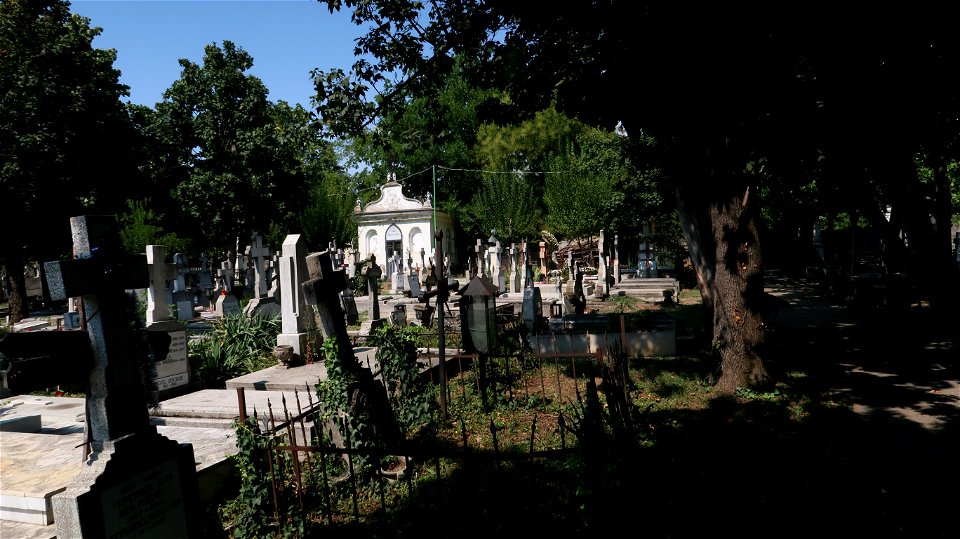 Bellu_cemetery (17) photo