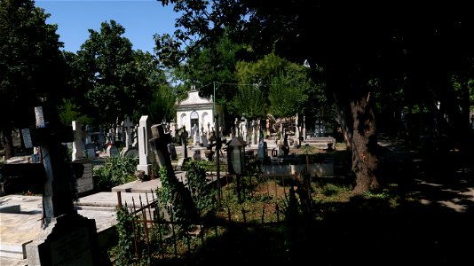 Bellu_cemetery (17) photo