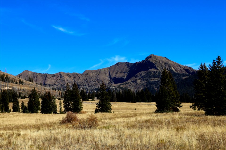 Views along the Pebble Creek Trail (2)