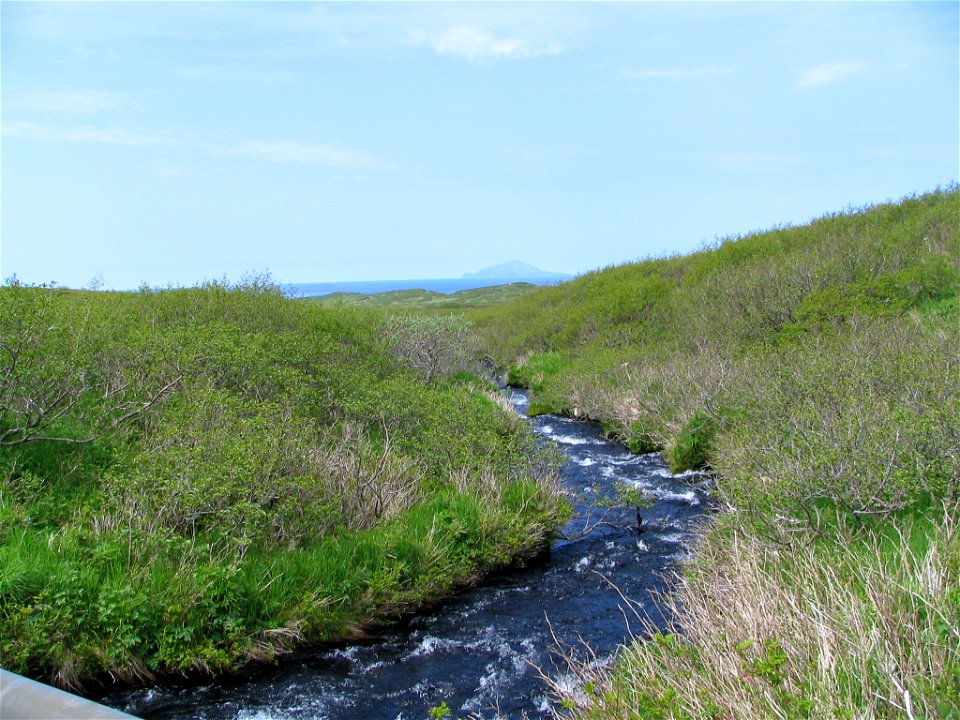 Izembek Landscape