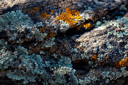 Lichen-covered rocks photo