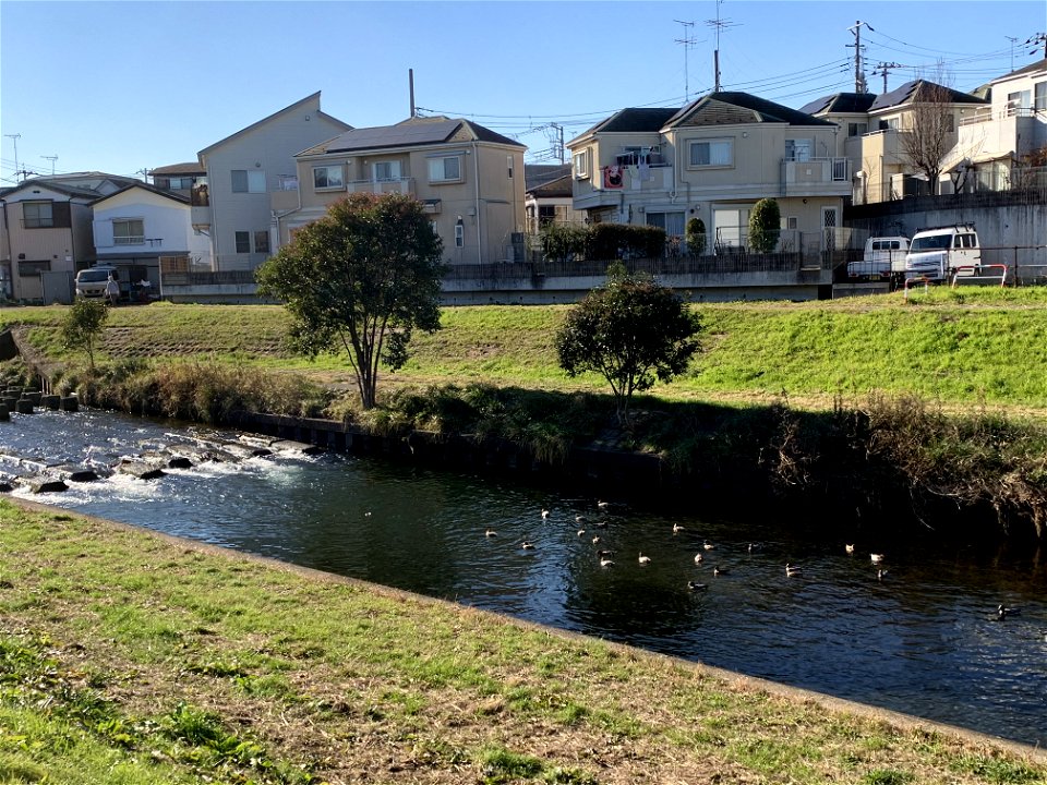 Kurome River in Ishigami Niiza-shi Saitama in mid-December