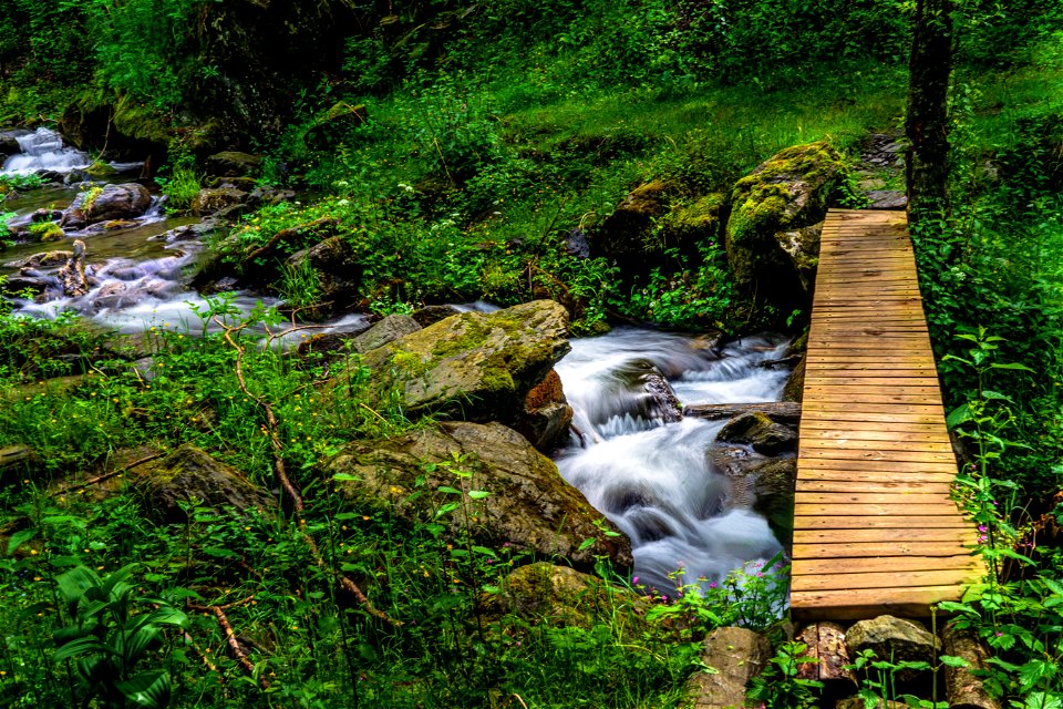 06-06-2023 Riera del Catllar, Vilallonga de Ter