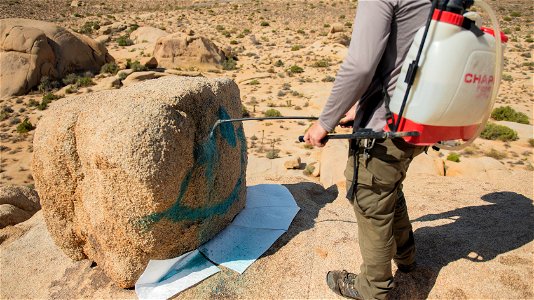 Ranger Spraying Down Graffiti