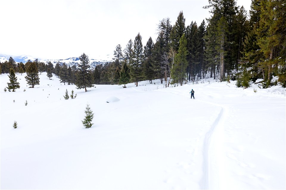 Views along the Lost Lake Ski Trail