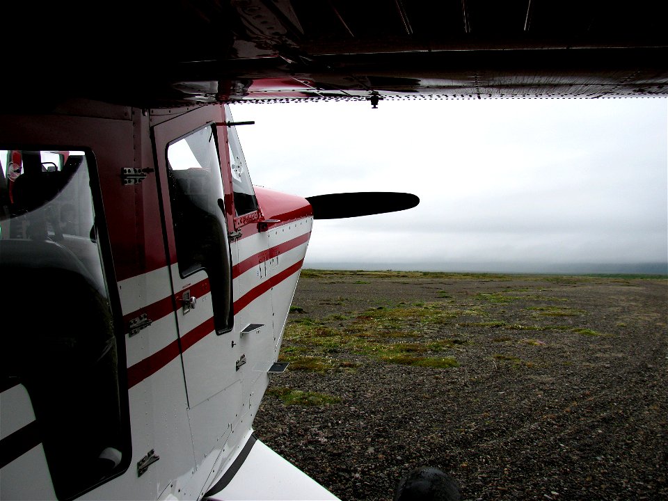 Airstrip, Bear Creek