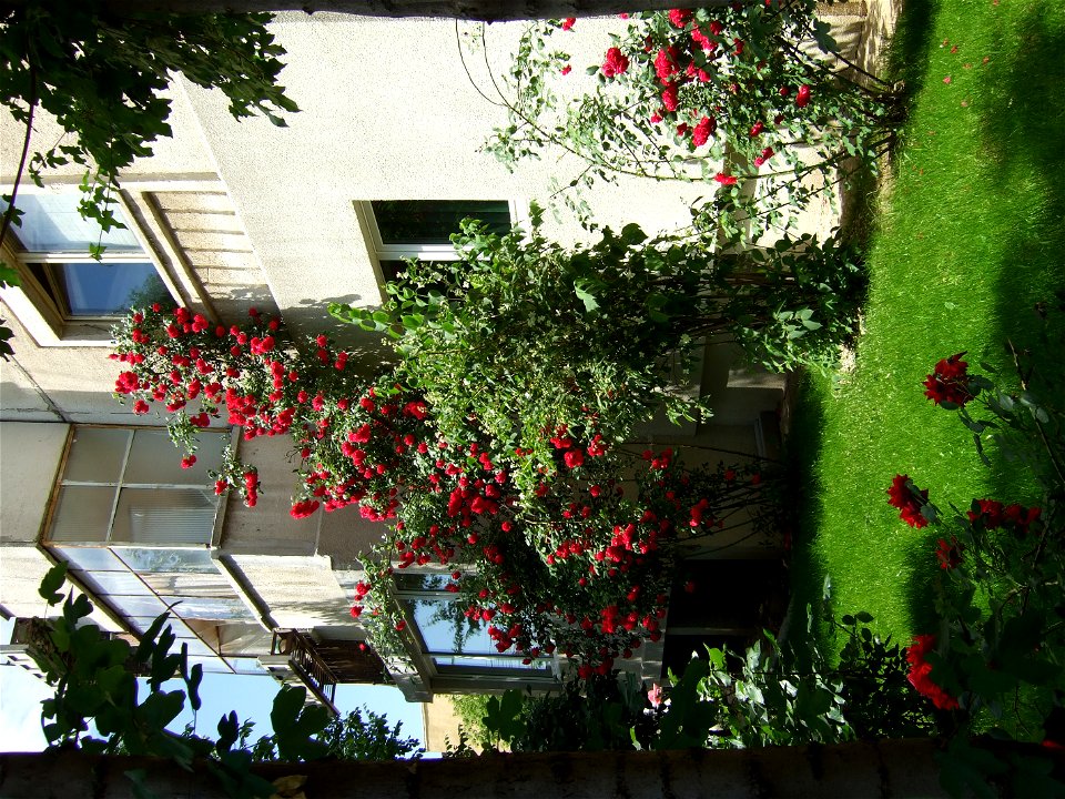 trandaf2009_0524_104803