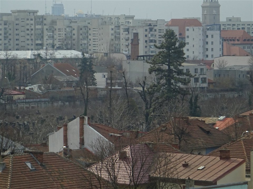 testing Sony superzoom in Abrud (6)