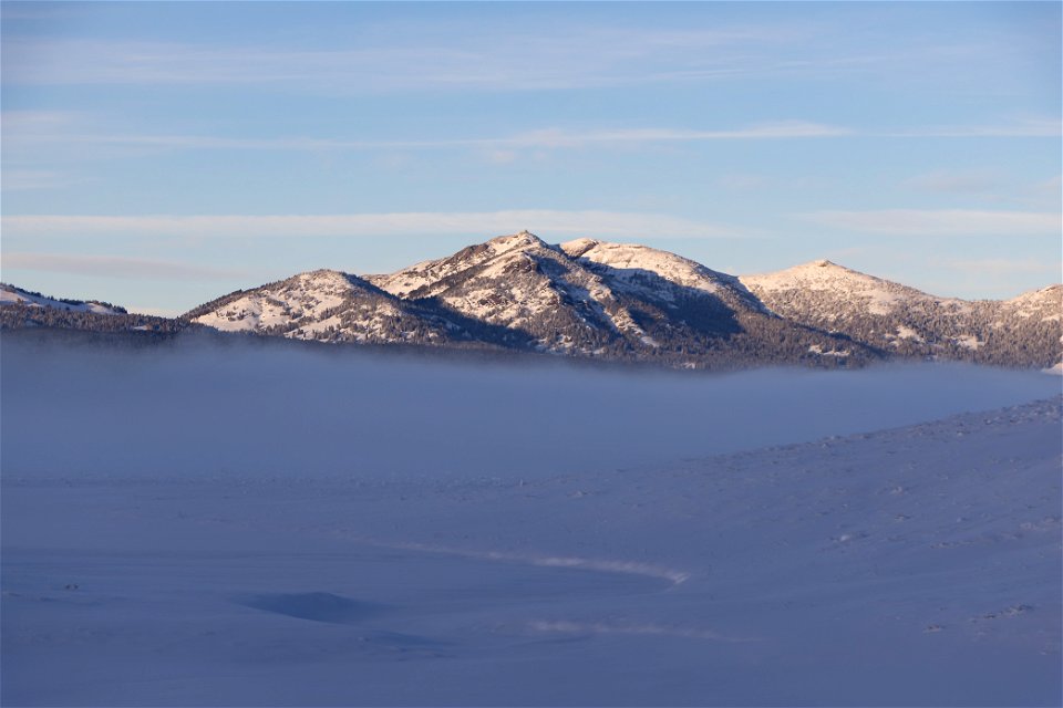 Mount Washburn rises above dense fog in Hayden Valley