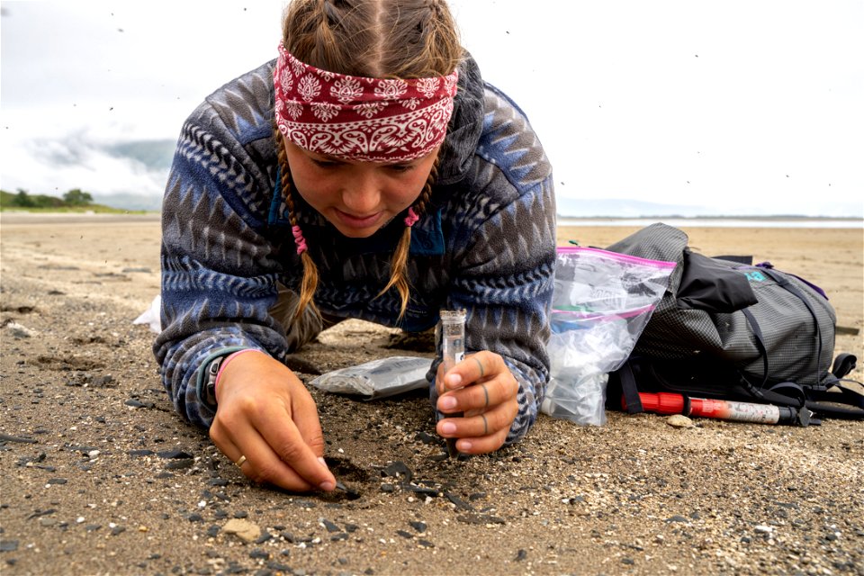 Coastal Wolf Monitoring Project 2021