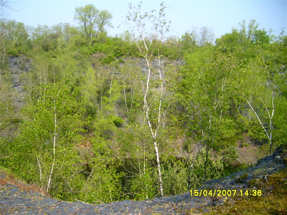 200704_0217