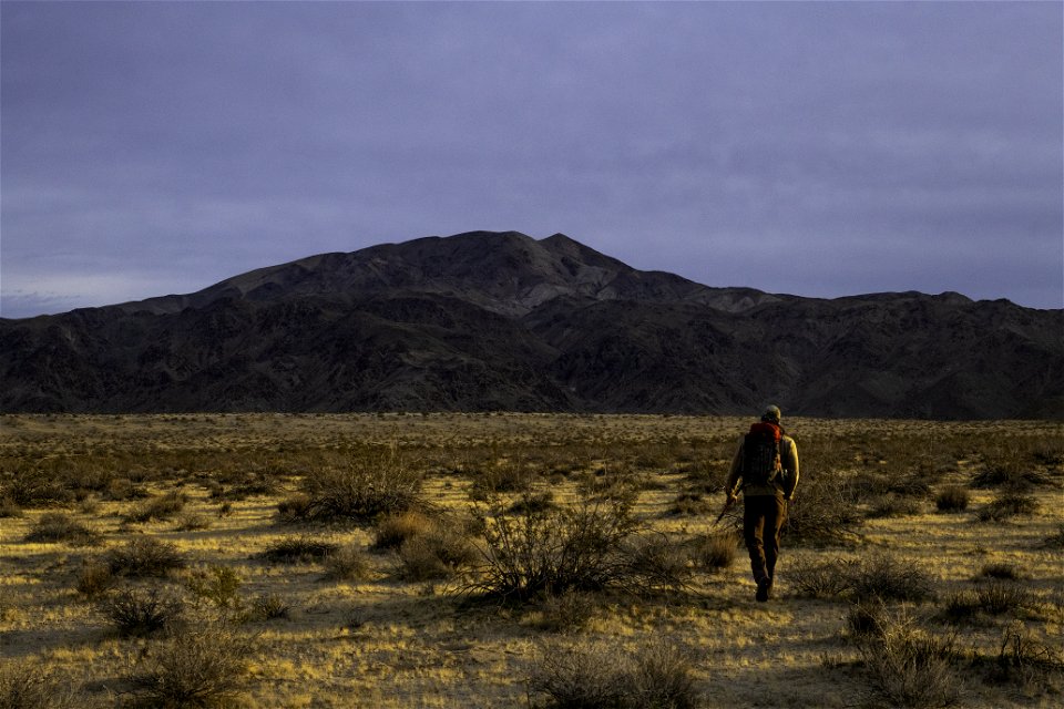 Researchers hiking in the Pinto Mountain and Turkey Flats area photo