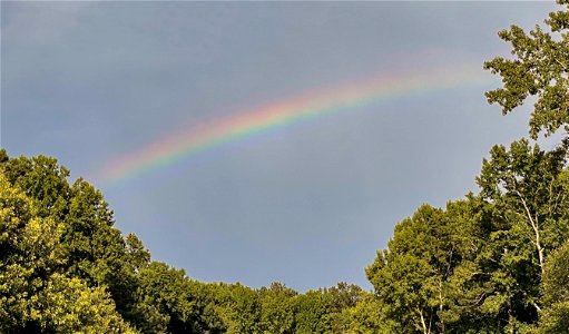 Day 195 - Georgia Rainbow photo