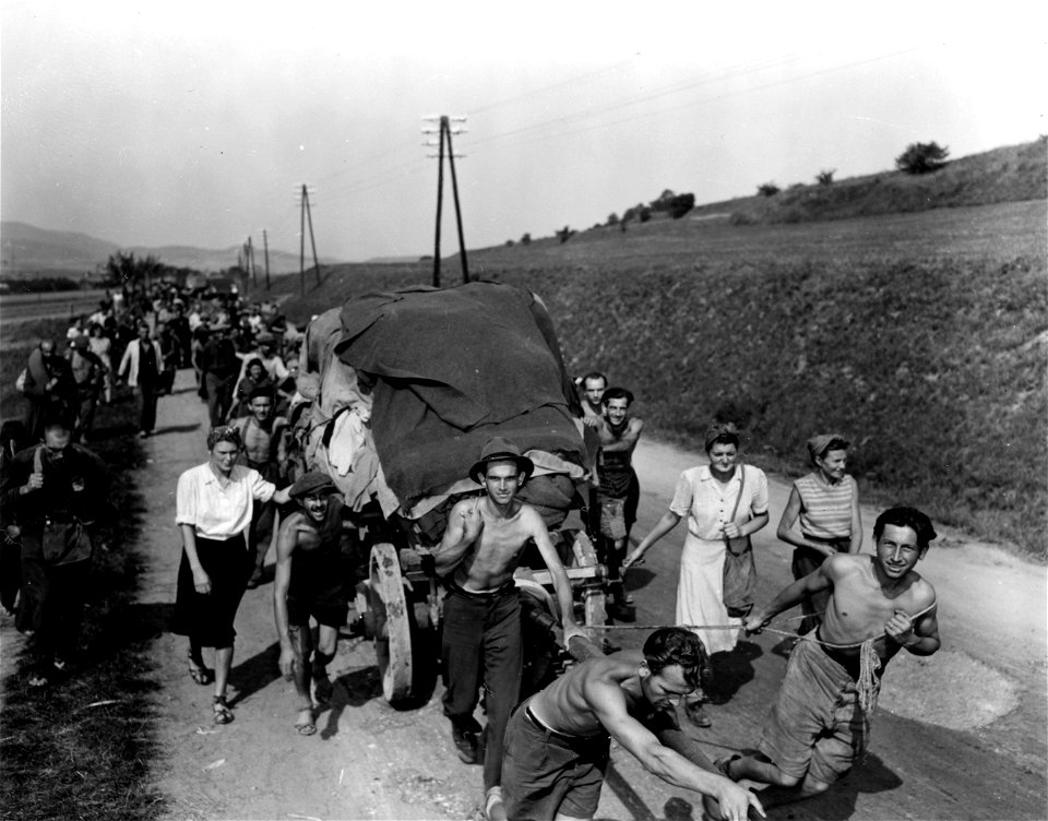 SC 405056 - Rumanian displaced persons on their way home.