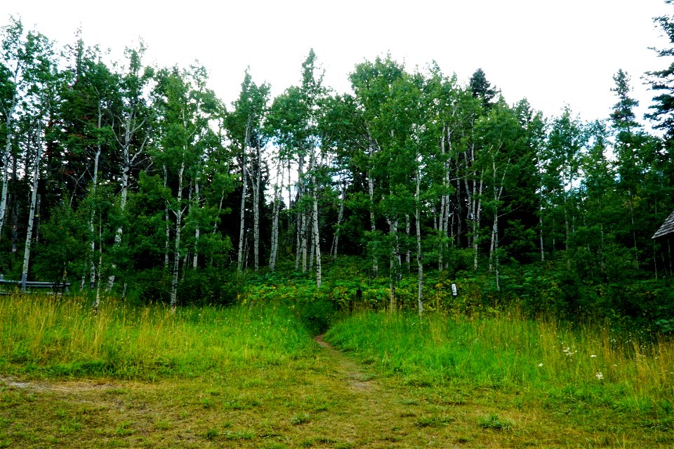 1913 Ranger Station