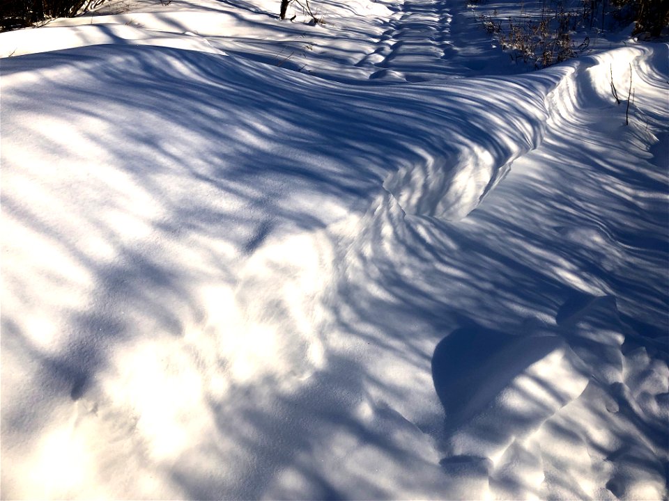 Trail Crossing Drift
