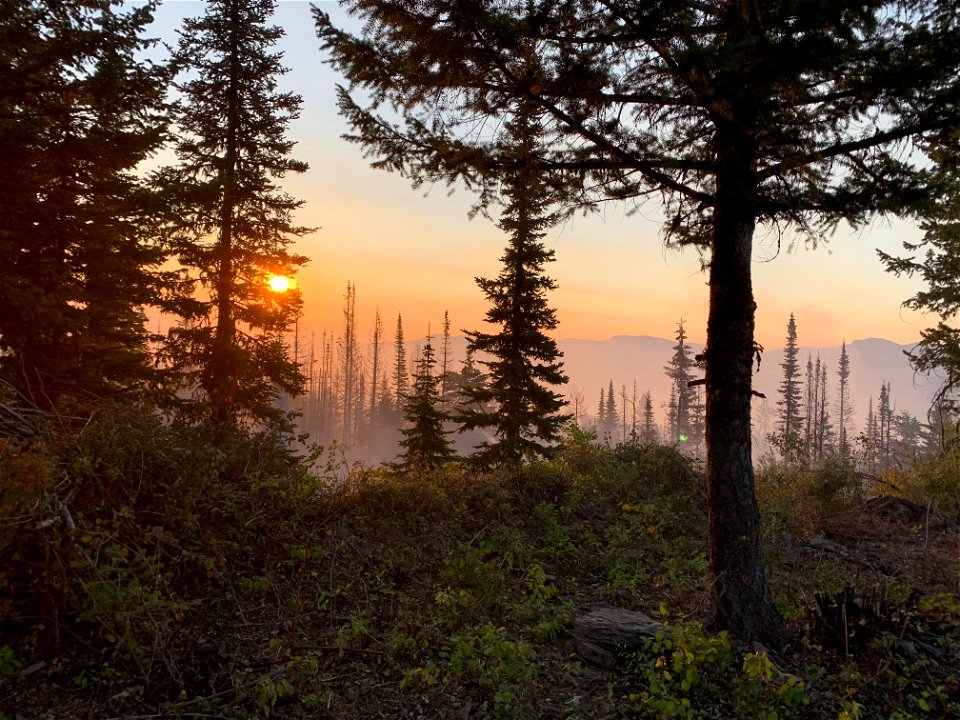 Sunrise on Burnt Peak Fire