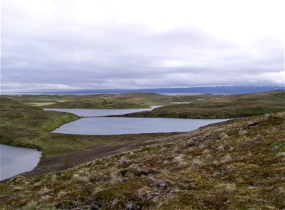 Izembek Wilderness