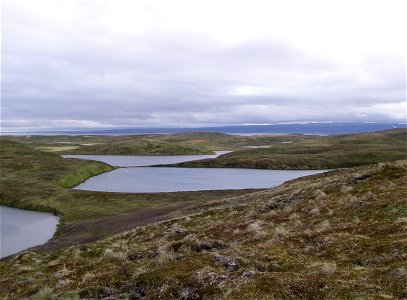 Izembek Wilderness photo