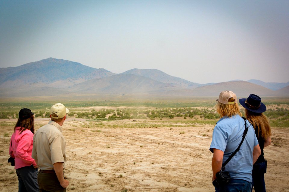 2021 Onaqui Herd Management Area