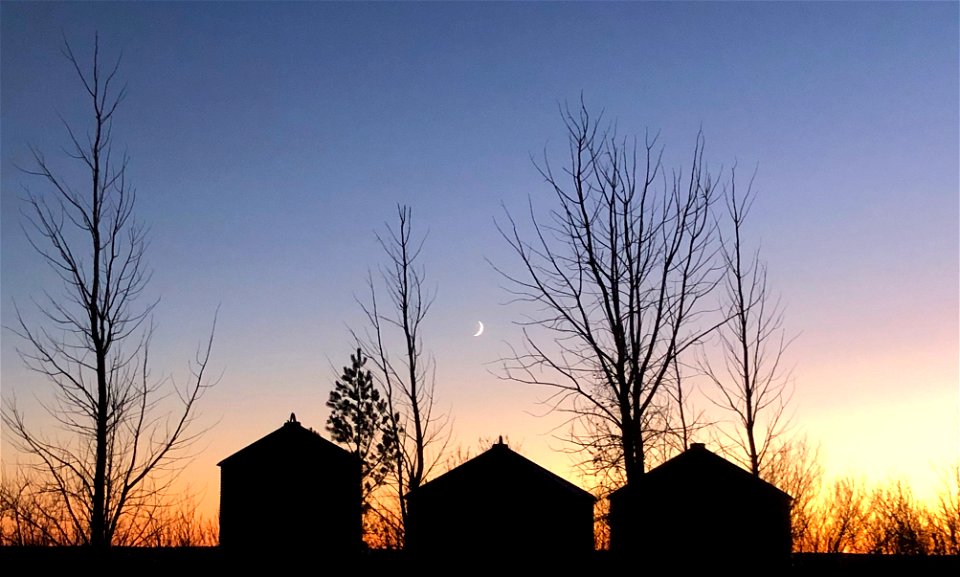 2022/365/330 One Moon, Three Bins photo