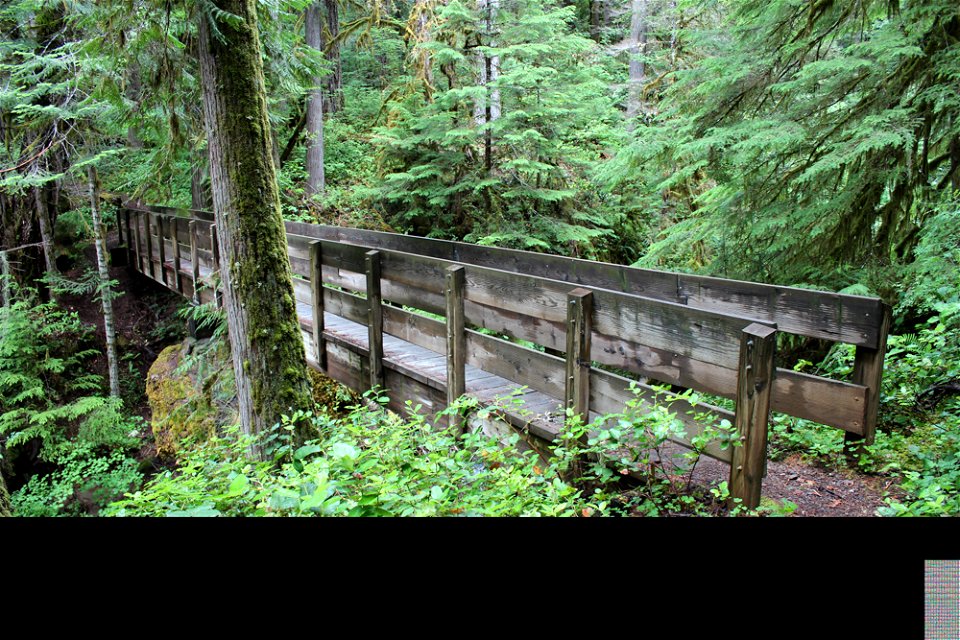 img_1520_downstream-side-of-bridge-going-from-the-falls-back-to-the-trailheadjpg_49364036408_o