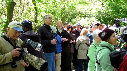 Regional Director Tom Melius at Magee Marsh