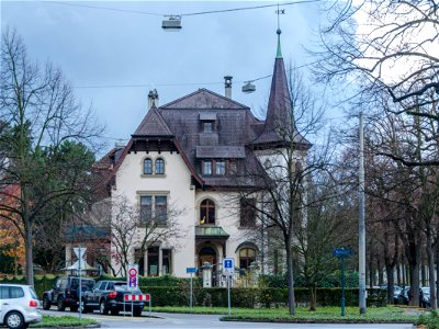 La maison de l'oie (Villa Roseneck) / Das spitze Gänsehaus (Zum Roseneck)