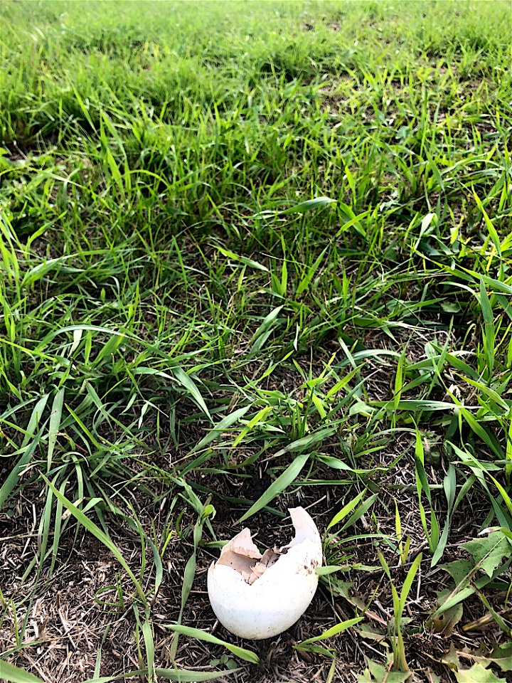 2021/365/244 What Happened Next?