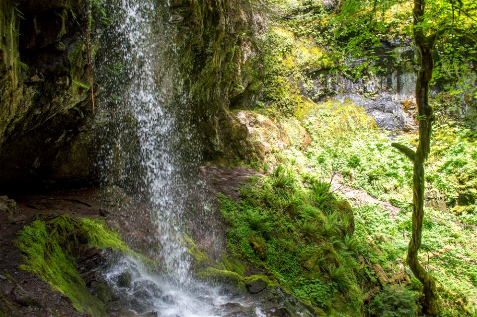 untitled-1243jpg_49364005298_o