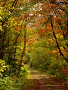20210915-FS-Superior-SAR-013