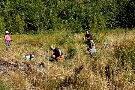 20210925-FS-GP-Trout Lake Creek Beaver Pond planting project with Cascade Forest Conservancy 05- by Ken Meyer.