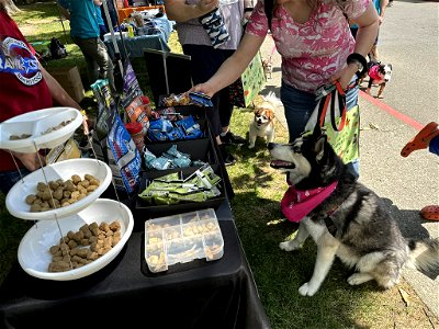 IMG_1314